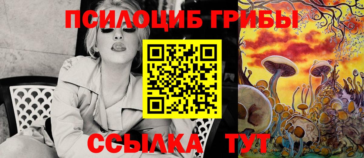 Лосино-Петровский  Галлюциногенные грибы прущие грибы  Галлюциногенные грибы Psilocybe  купить наркотик  Вход с VPN 