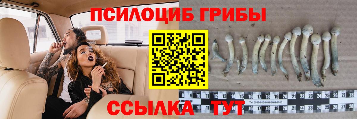 Галлюциногенные грибы Psilocybe Лосино-Петровский